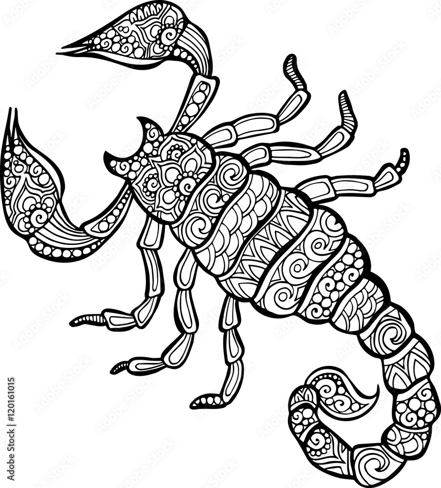 Skorpion kolorowanki